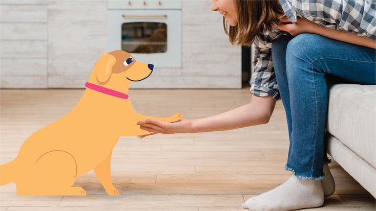 Pet owner shaking their dogs paw illustration 