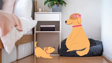 Pregnant dog and her puppy illustration 
