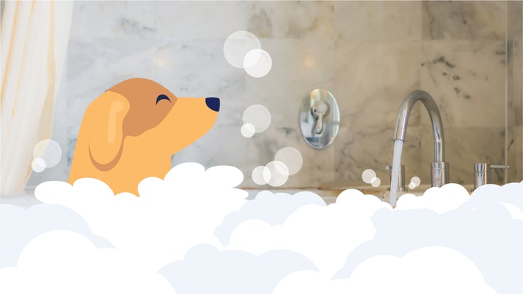 Dog taking a bath with bubbles illustration 