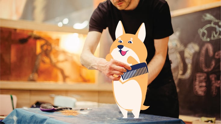 Dog being groomed illustration
