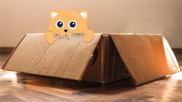 Cat biting box illustration 