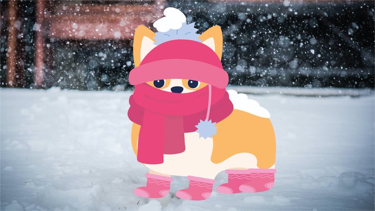 Dog with winter clothing in the snow illustration 
