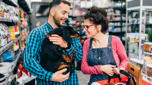 The Best Pet Supply Stores in Denver, CO