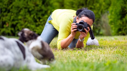 The Best Pet Photographers in Denver, CO