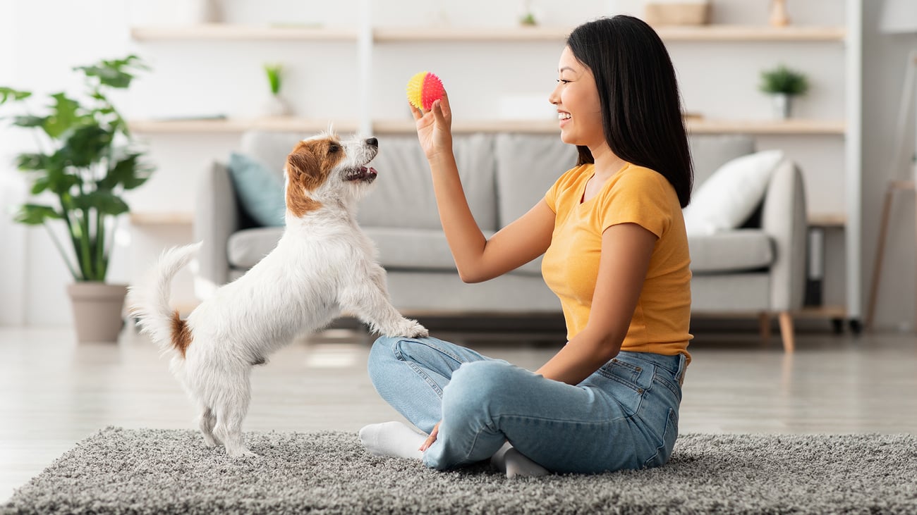 The Best Dog Trainers in Detroit, MI