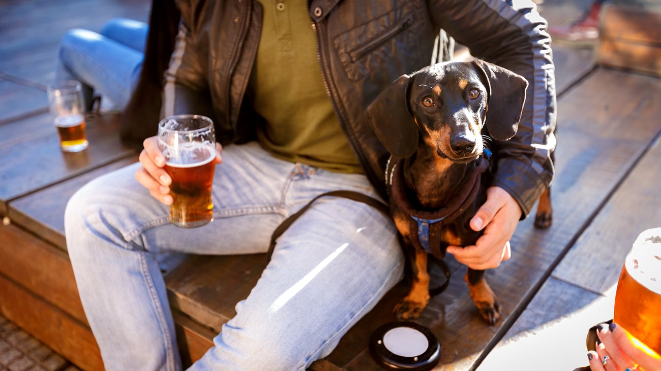 The Best Dog-Friendly Breweries in Houston, TX