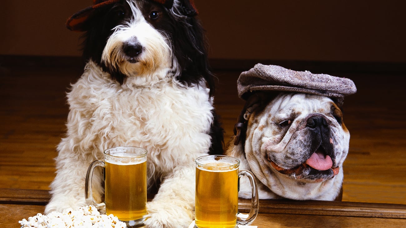The Best Dog-Friendly Breweries in Los Angeles, CA
