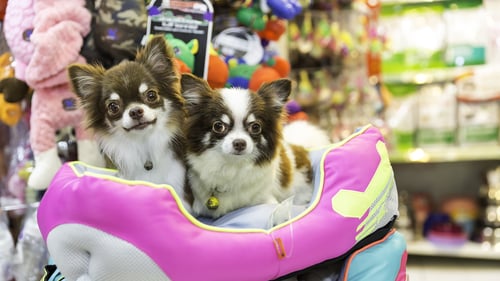 The Best Pet Supply Stores in Los Angeles, CA