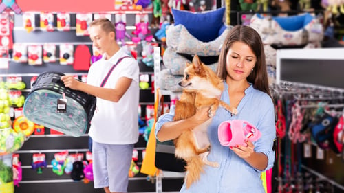 The Best Pet Supply Stores in Northern New Jersey