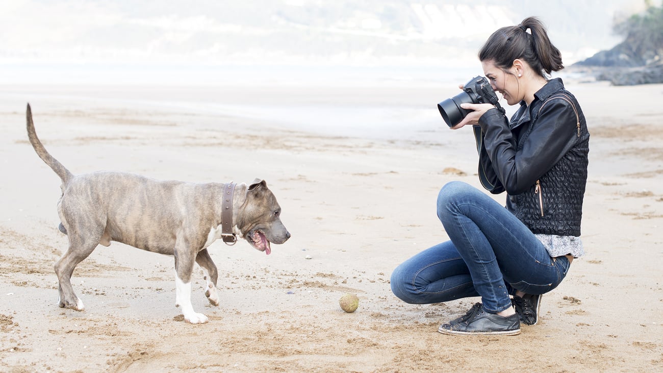The Best Pet Photographers in Northern New Jersey