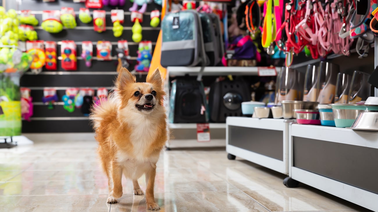 The Best Pet Supply Stores in Houston, TX
