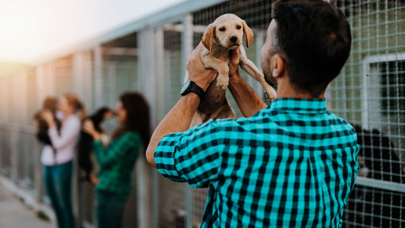 The Best Pet Adoption Centers in Austin, TX