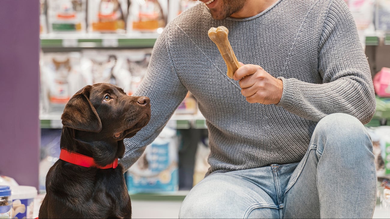 The Best Pet Supply Stores in Portland, OR
