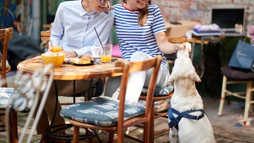 The Best Dog-Friendly Restaurants in Queens, NY