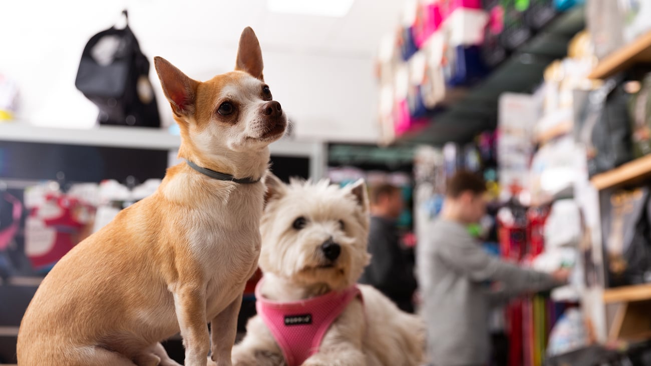 The Best Pet Supply Stores in San Diego, CA
