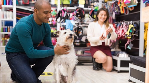 The Best Pet Supply Stores in Austin, TX