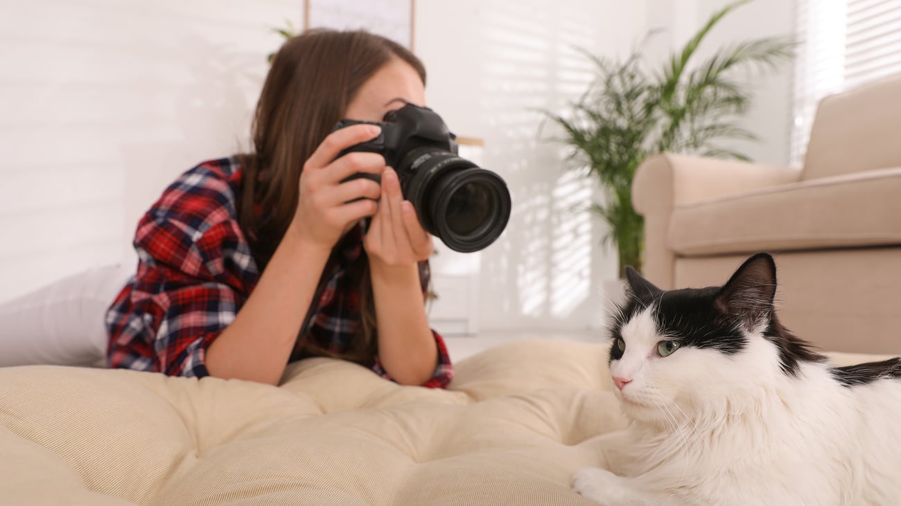 The Best Pet Photographers in Seattle, WA