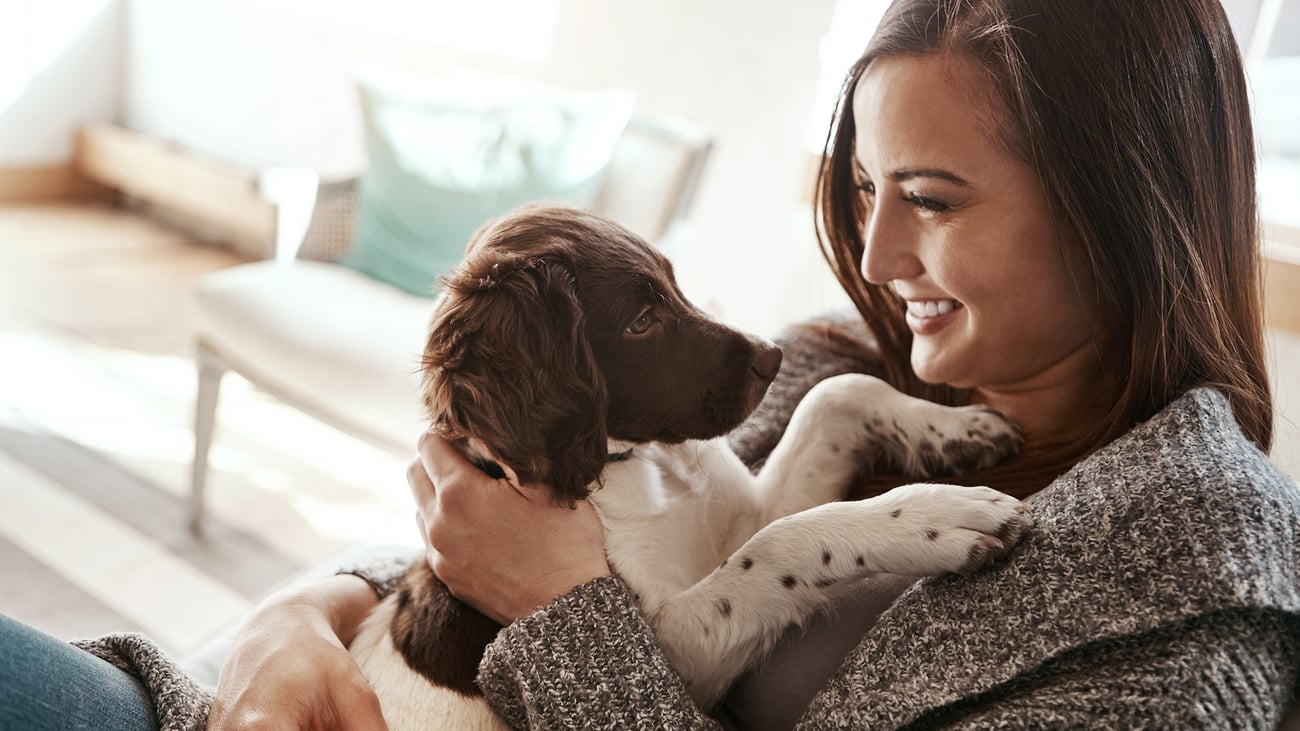 The Best Pet Sitters in South Florida