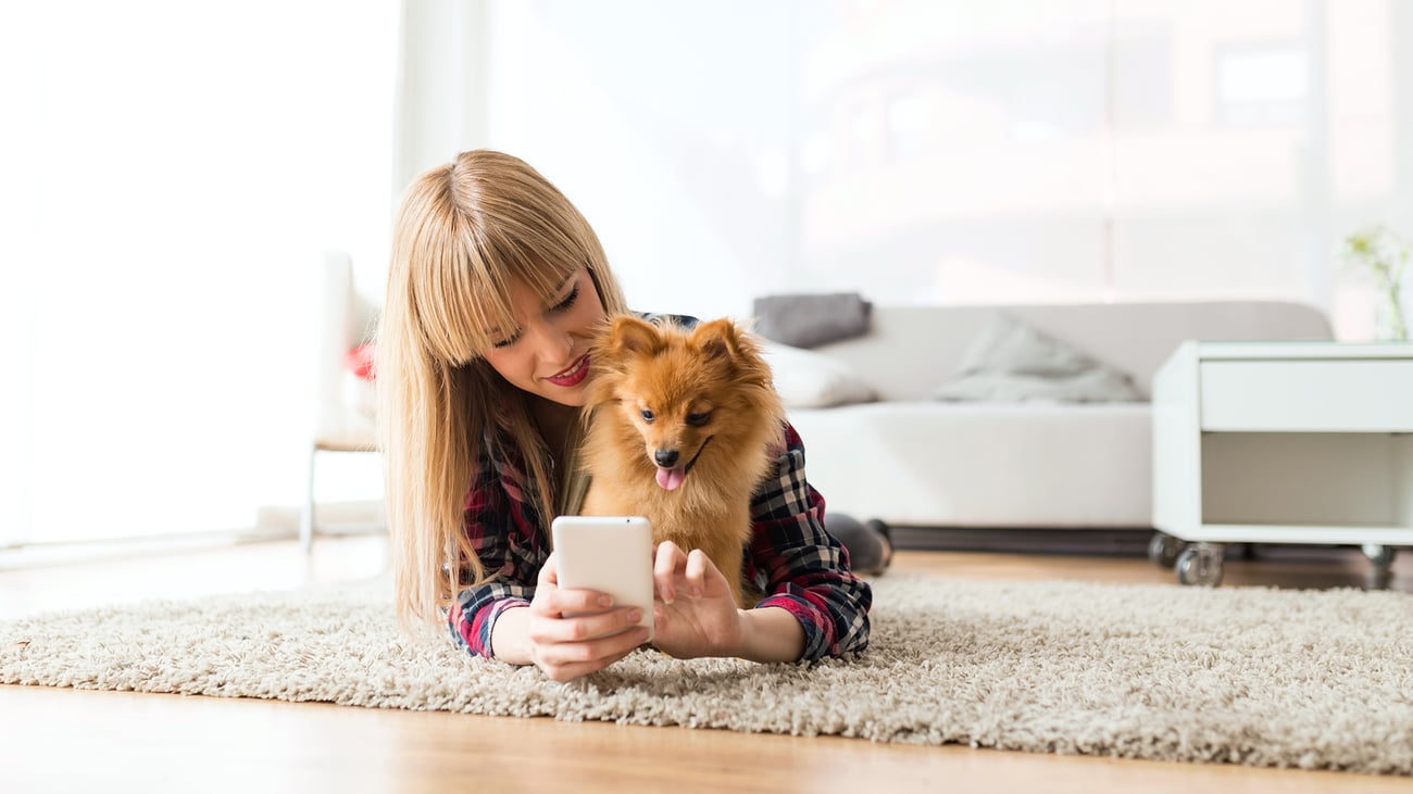 The Best Pet Sitters in Southern New Jersey