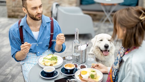 The Best Dog-Friendly Restaurants in Vancouver, WA