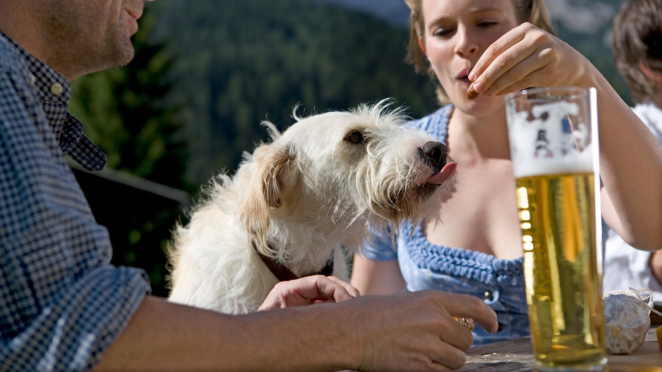 The Best Dog-Friendly Breweries in Vancouver, WA