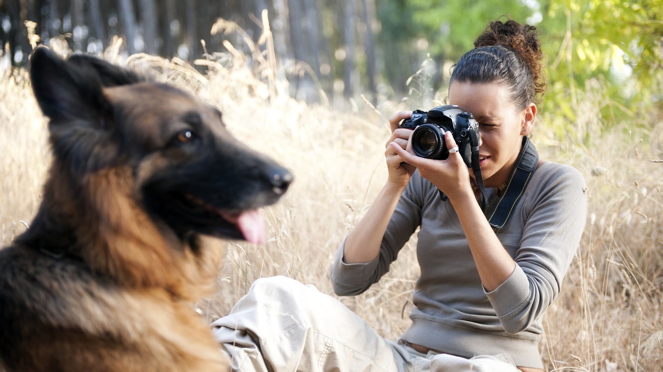 The Best Pet Photographers in Baltimore, MD