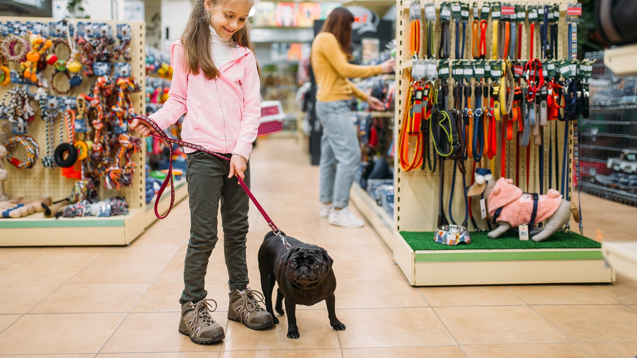 The Best Pet Supply Stores in Baltimore, MD