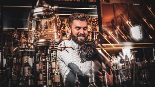 The Best Dog-Friendly Bars in Charlotte, NC