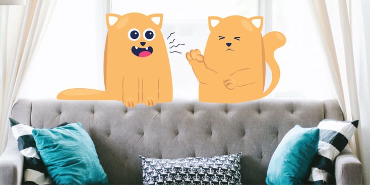 Two cats talking on a sofa.