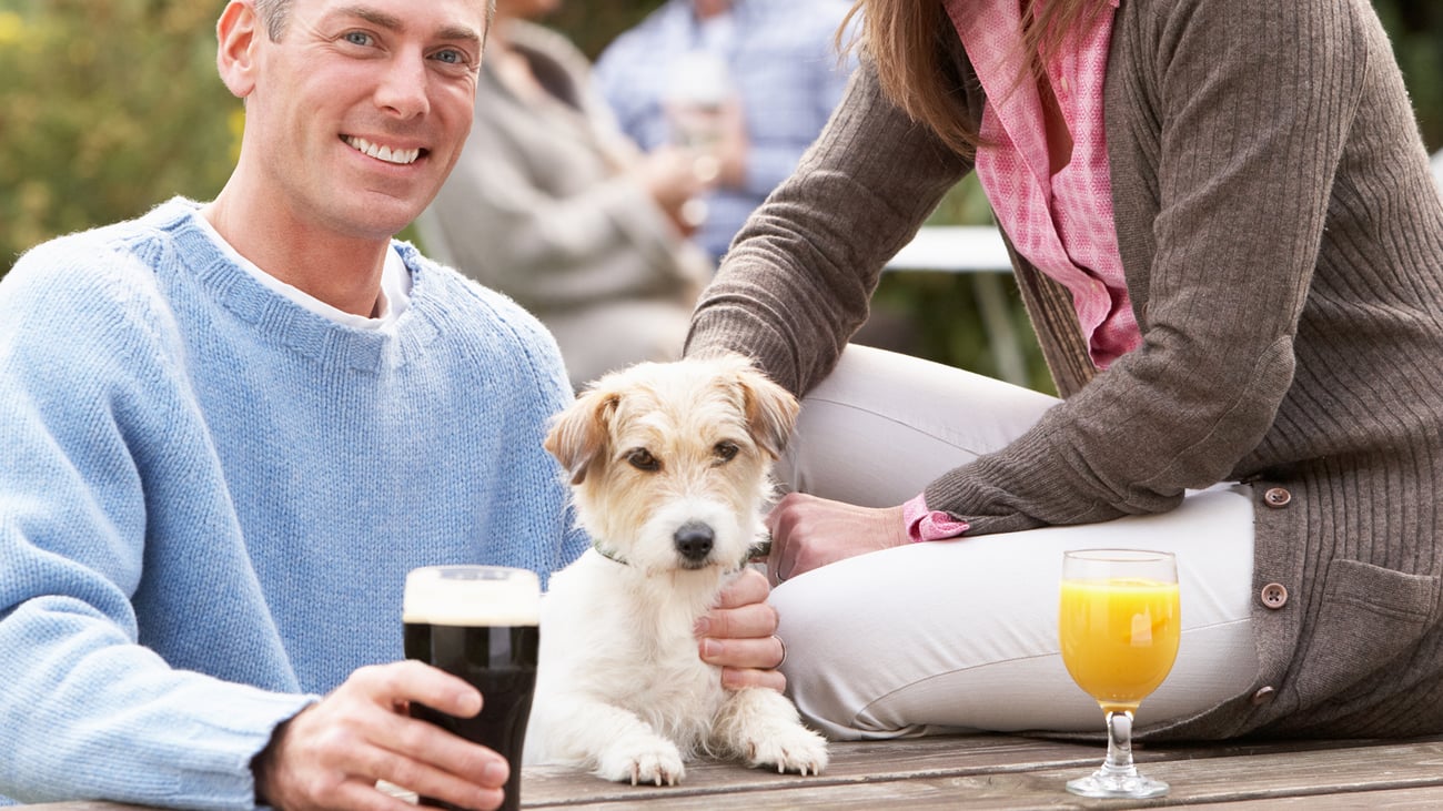 The Best Dog-Friendly Breweries in South Florida