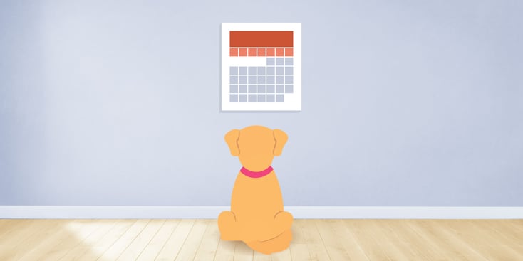 Dog looking at a calendar illustration 