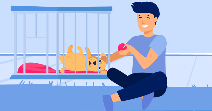Puppy being crate trained illustration