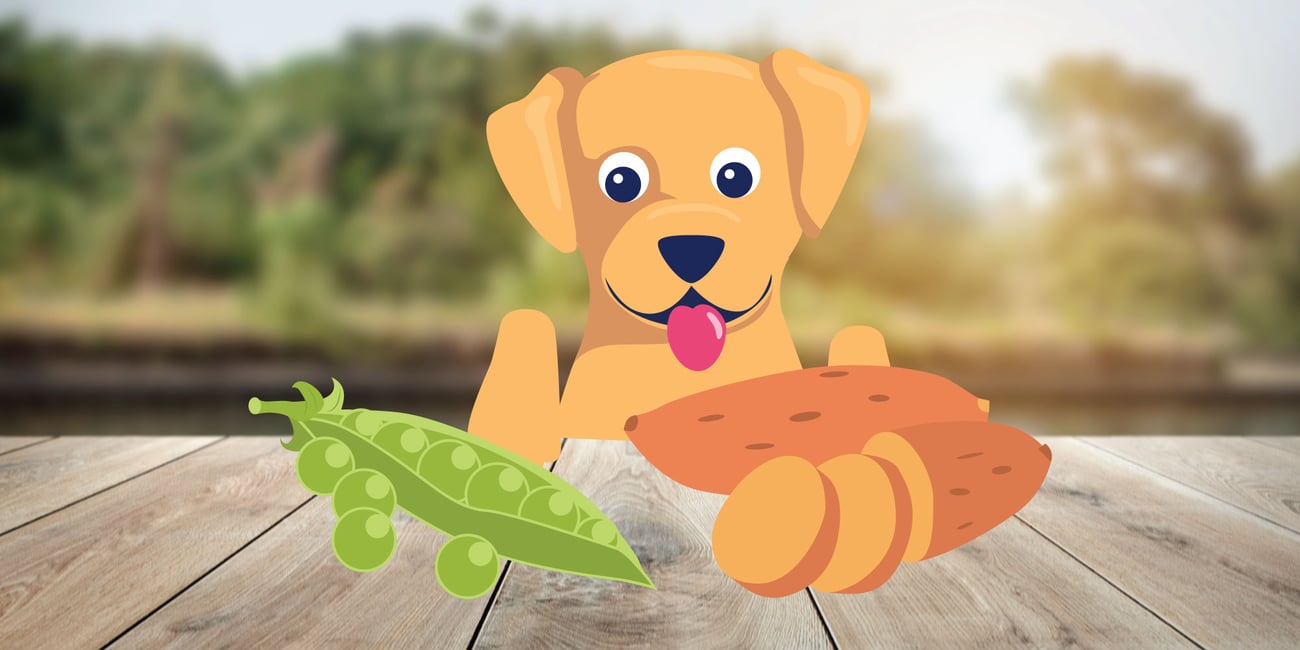 are peas bad for dogs in dog food