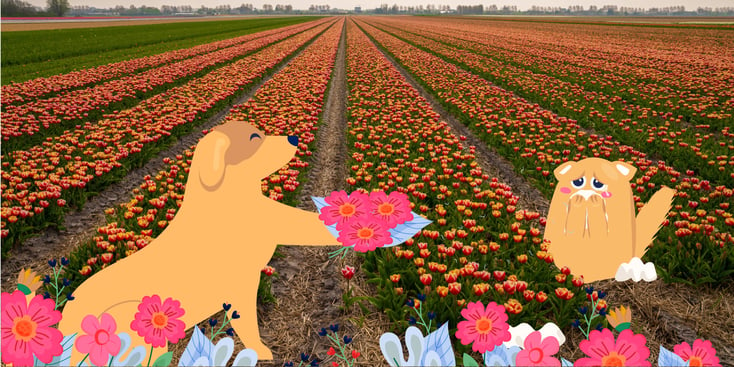 Illustration of a dog and a cat in a field being affected by seasonal allergies.
