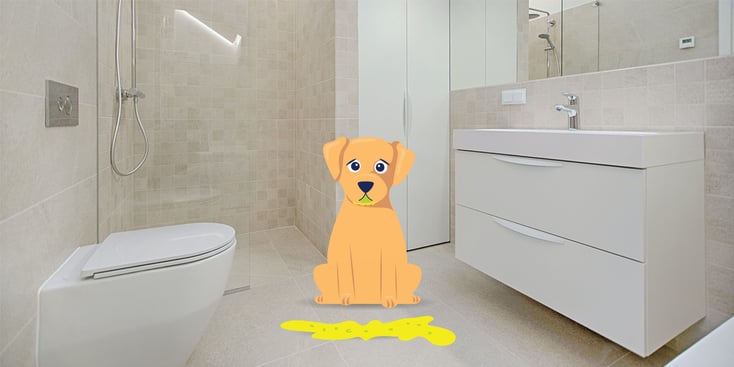 Dog with yellow vomit on floor illustration 