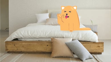 Cat coughing on a bed illustration 