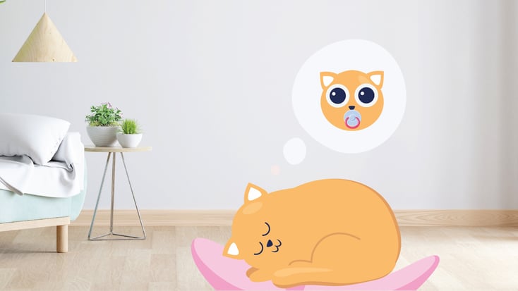 Cat dreaming about a kitten illustration 