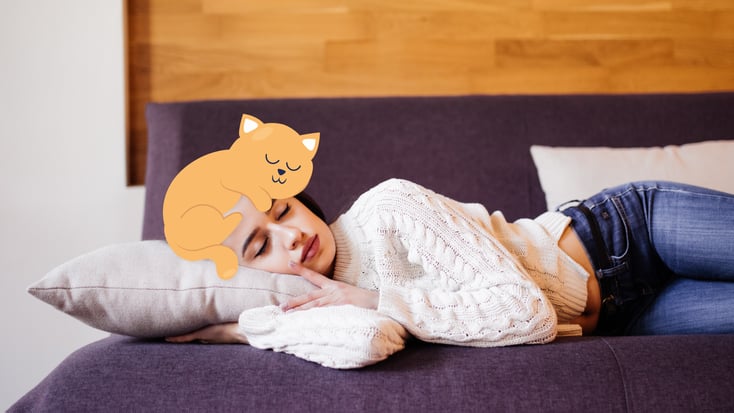 Cat sleeping on owners head illustration