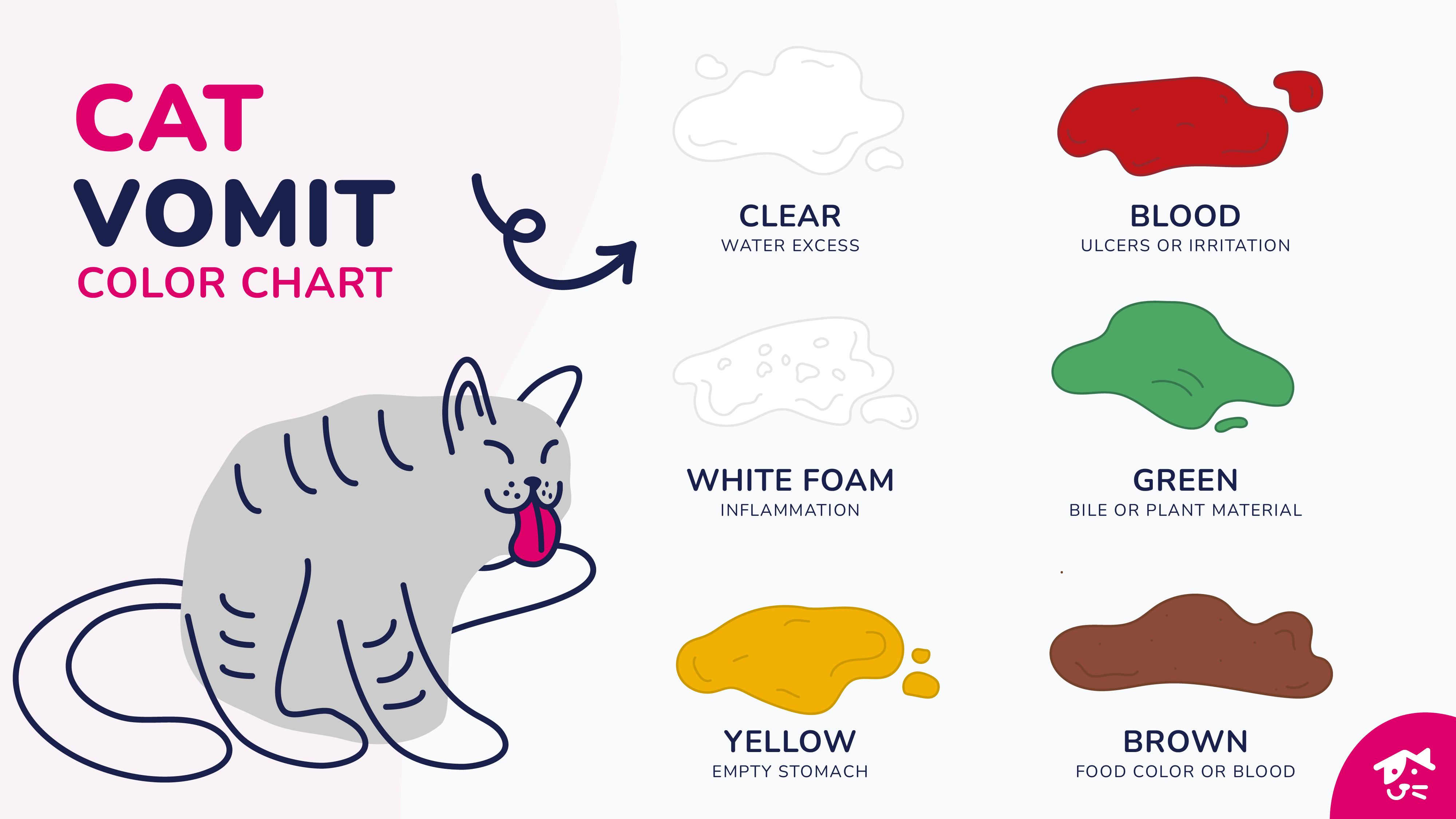 An illustrated chart showing the different colors and meanings of cat vomit.