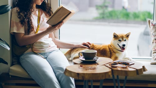 Dog-Friendly Cafes & Coffee Shops in Baltimore, MD