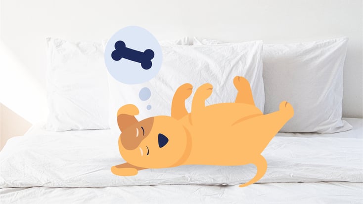 Dog dreaming of a bone illustration 