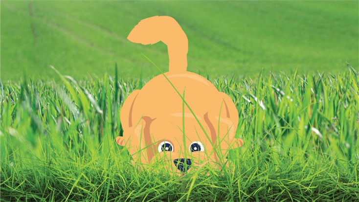 Illustration of a dog eating grass