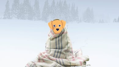 Dog in a blanket in a snowy forest illustration 