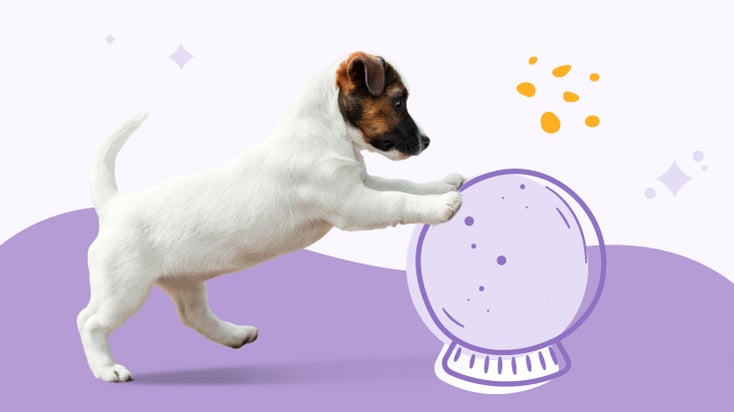 Dog playing with an orb illustration