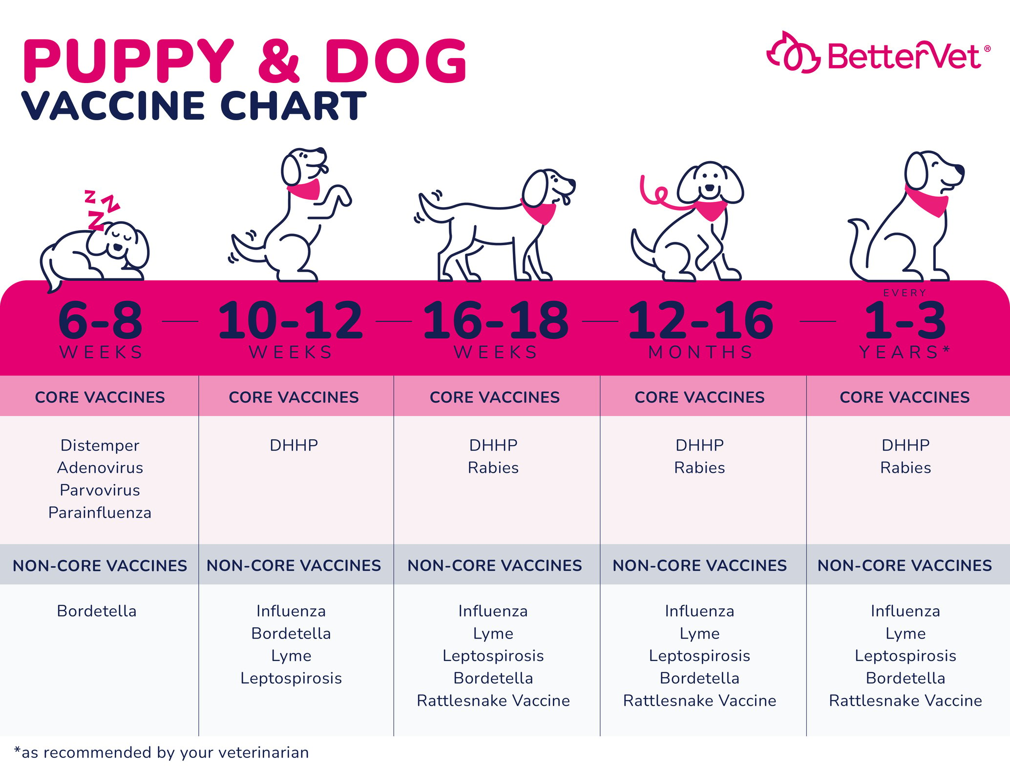 Puppy and Dog Vaccinations: Schedule, Types, and Side Effects