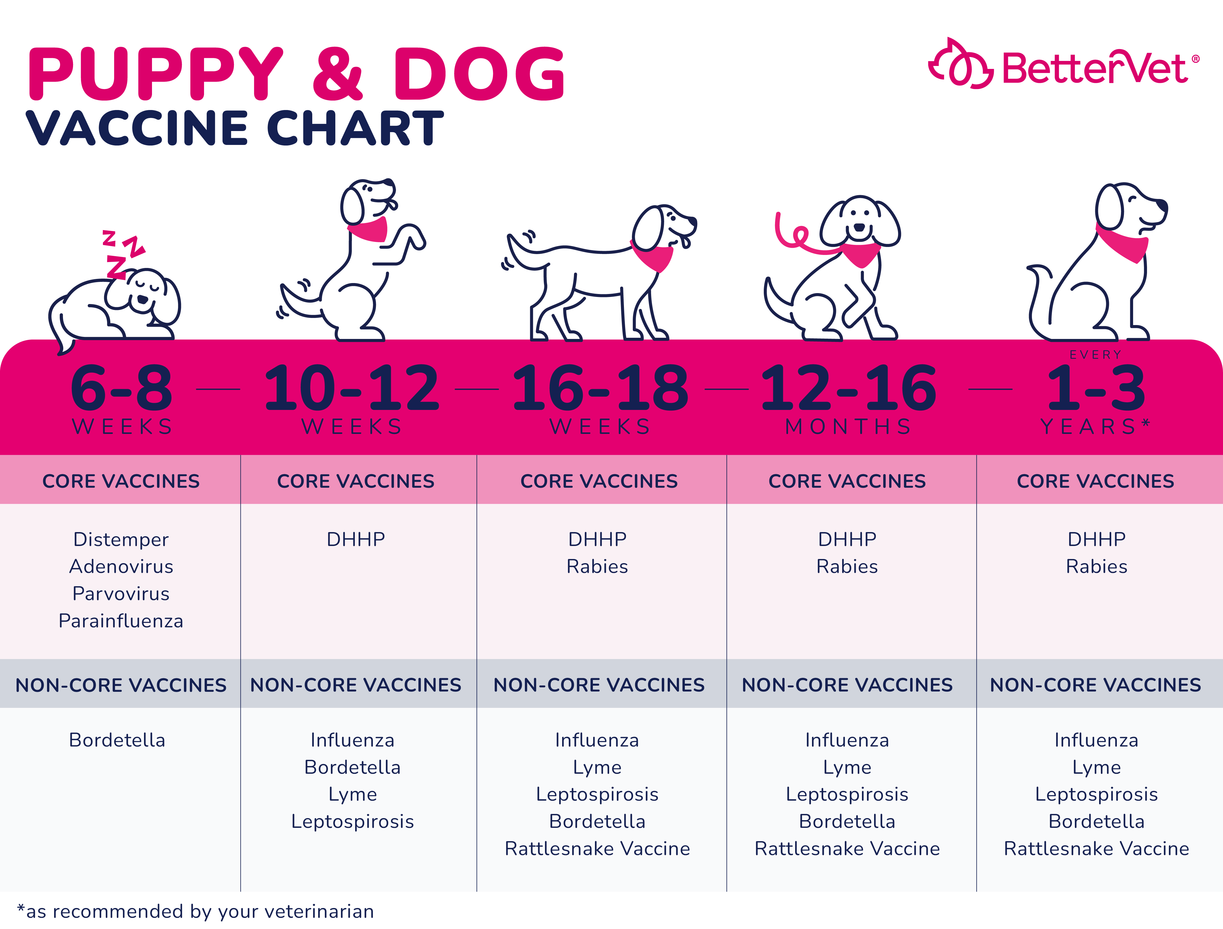 An infographic showcasing the appropriate vaccination schedule for both dogs and puppies.