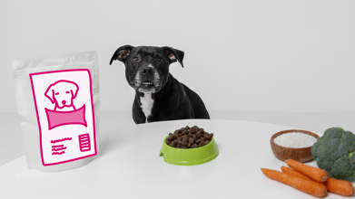 Pet Nutrition by Life Stage: Feeding Your Pet at Any Age