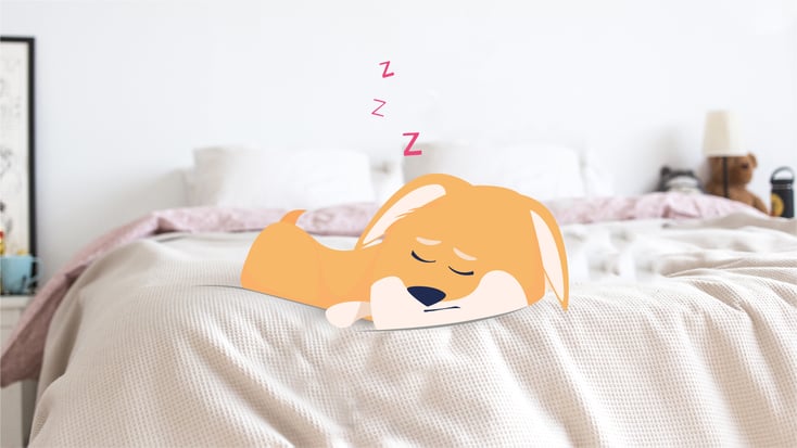 Illustration of a dog sleeping on a bed