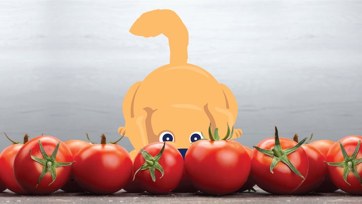 Dog sniffing tomatoes illustration 