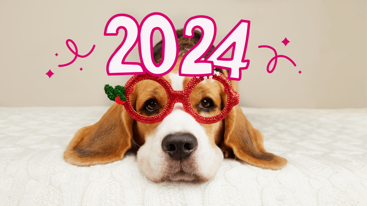 A dog with 2024 glasses ready for its new years resolutions